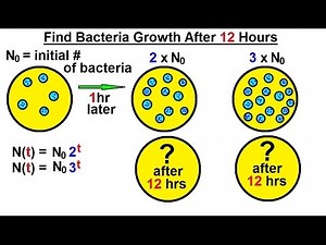 PreCalculus - Exponential Function (5 of 13) Find Bacteria Growth After 12 Hours