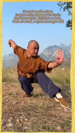 silviahouse (@silviahouse)’s videos with original sound - silviahouse