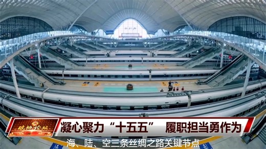 武汉市政协委员、武汉市侨联副主席卢峰：重塑武汉新时代“九州通勤”核心地位
