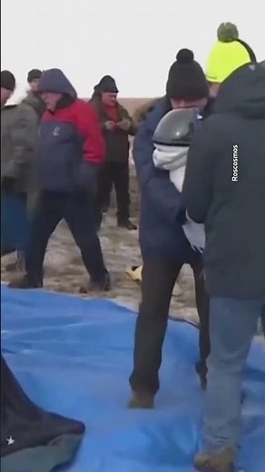 Soyuz spacecraft brings Russians, American back to Earth