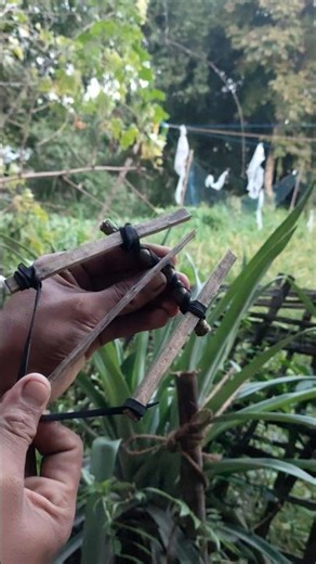 How to Make a Board Bow"