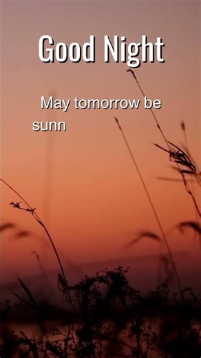 Good Night Message, Beautiful Good Night Status #shorts #goodnight