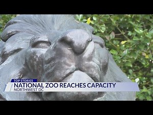 National Zoo in DC reaches capacity for Saturday shortly after opening