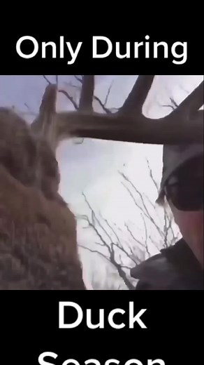 I wish this happened during deer season #outdoors #orangearmy #hunter #hunting #duck #duckhunters #deer #deerhunter #whitetail