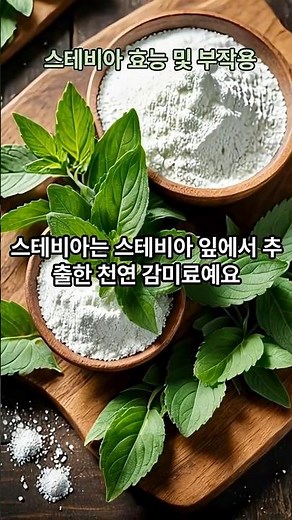 스테비아의 효능 및 부작용#당뇨#당뇨관리 #스테비아