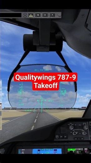 [FSX] Qualitywings Boeing 787 Takeoff From the Pilot's Seat #flightsim #cockpit #aviation