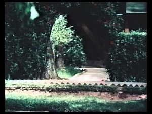 Hồ Chí Minh-Chân dung một con người.