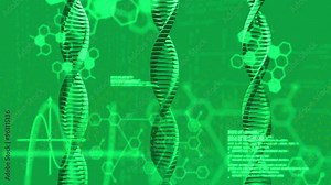 DNA strands and hexagonal shapes, scientific data processing animation Stock Video
