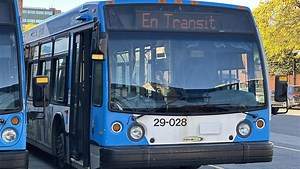 STM bus drivers ready to strike, says union president - CityNews Montreal