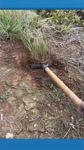 Grass Raking Tool for Easy Lawn Cleaning and Maintenance #gardening #tools