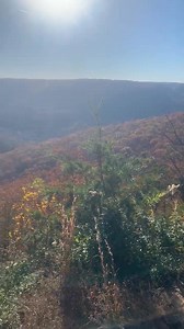 Danny Vaughn on Reels