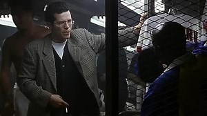The Fan (1996)