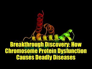 Breakthrough Discovery: How Chromosome Protein Dysfunction Causes Deadly Diseases