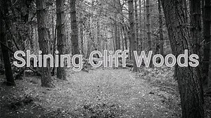 HAUNTED WOODS, DERELICT BUILDINGS, SCARY STORIES ALL IN ONE BEAUTIFUL WALK; Shining Cliff Woods