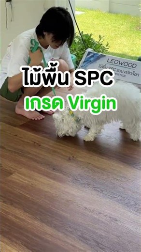 📣3 วันสุดท้าย โปรไม้พื้น SPC ❗️