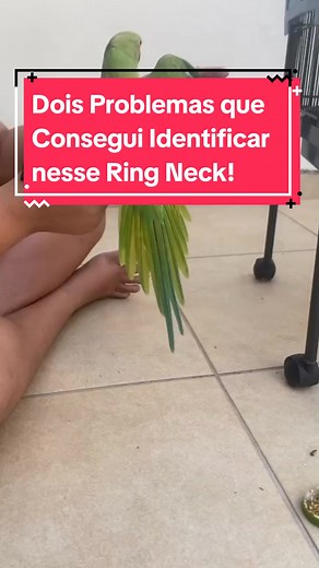 RingNeck no TikTok