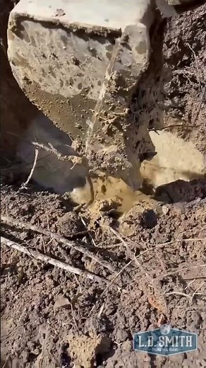 Digging for Gold! Well not really.