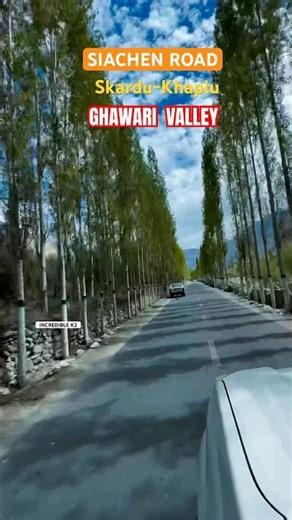 Khaplu-Skardu Road | Beautiful Lined of Green Trees 🌲 || Khaplu Ghawari Road || Skardu Khaplu Road