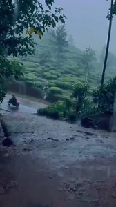 96 reactions |  DM for credits/removal Eyes behind lens...