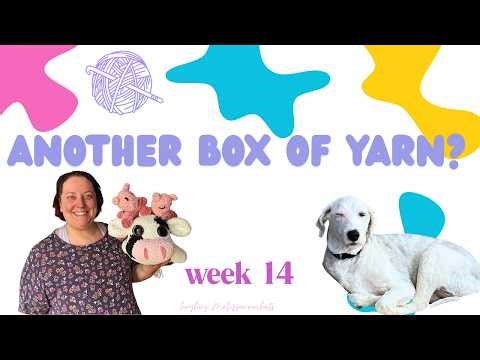 Week 14 of 2026 | Another Box of Yarn Arrived? | Crochet Vlog | HeyHeyMelissaCrochets