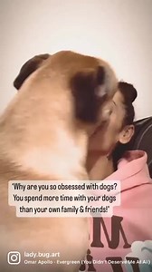 9K views · 1.2K reactions | Dogs are angels on earth  | Ladybug Art | Facebook