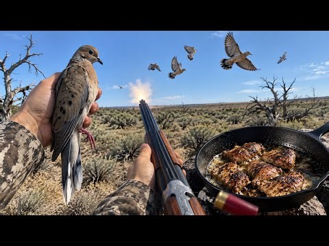 Dove Hunting Was INSANE! | West Desert Hunt & Cook
