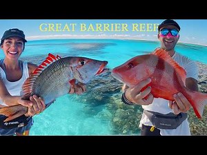 Palm Cove Travels & Our First Great Barrier Reef Trip - The Full Experience!