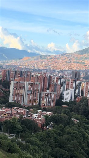 solo tigre — ¿dónde encontrar el Telegram de Yareni?