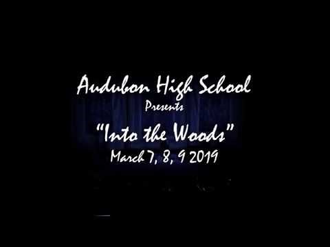 Into The Woods Full Musical -Audubon High