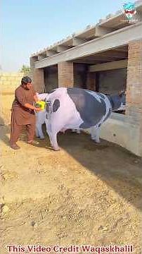 भैंस के पेट में भारी हवा 😱Wood working withart handcraft idea/home madereal telent/skill-art