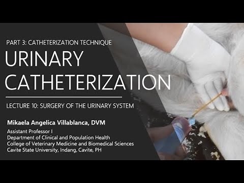 Lecture 10.4 Urinary Catheterization Technique