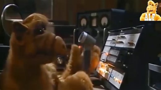 8.6K views · 164 reactions | ALF (1986–1990) "Funniest moments" | Flashback Comedy Videos | Facebook