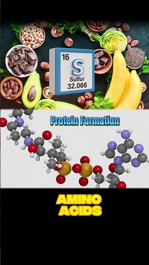 What is Sulphur (Sulfur)? | Role in Body, Deficiency Symptoms & Sources #food