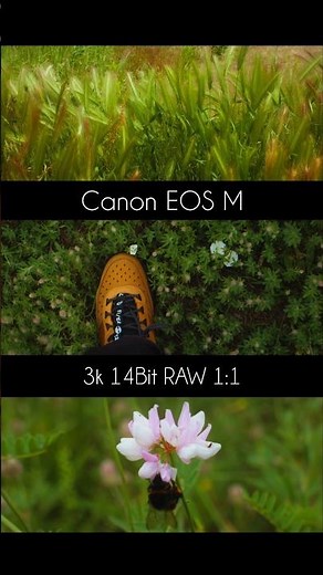 You Won’t Believe This is a Kit Lens! | Canon EOS M + RAW Video #eosm