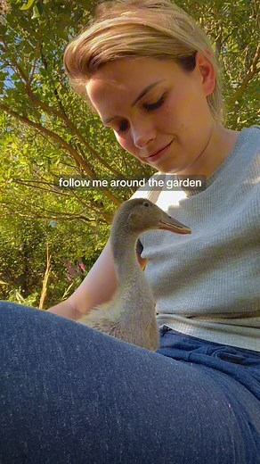 2.4M views · 10K reactions | Why we keep ducks in our cottage garden 閭 | Monalogue | Facebook