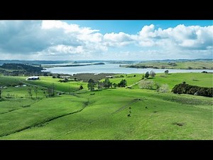 450 Neems Road, Matakohe, Kaipara
