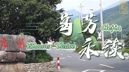 2025“外研社·国才杯”“理解当代中国”短视频大赛|美丽中国|Gejia Blooms Thrive 葛芳永续