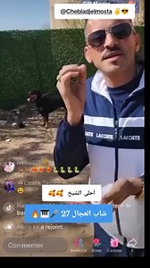 #LiveMusic #trending #f #trendingvideo | Cheb adjal Officiel_الشاب العجال