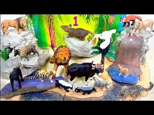 Learn about Wild Animals 🐯 INDIAN ANIMALS 🐊 Safari Toys For Kids - Learn Zoo Animal Names and Sounds