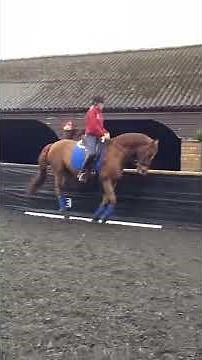 How to counter canter