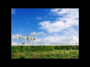 庭の千草／ダークダックス