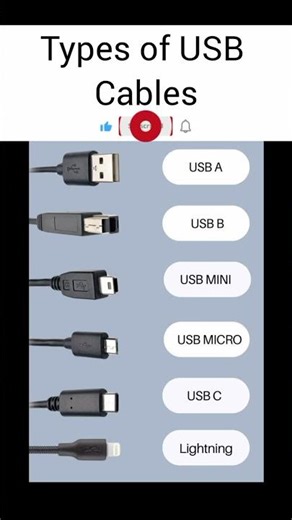 Types of USB Cables