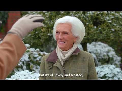 Things to see at RHS Garden Wisley in winter | With Mary Berry and Matt Pottage | The RHS