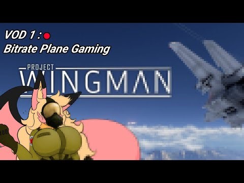 Pink Fox Becomes a Fighter Pilot! - Project Wingman Playthrough