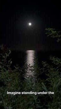 🌙 Full Moon Release Meditation: 1-Min Guided Ritual to Let Go & Renew #FullMoonMeditation