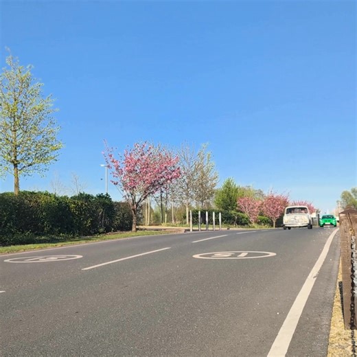 British Motor Museum on Reels