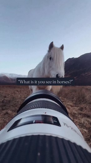 13K views · 122K reactions | What is it you see in horses? For me, it...