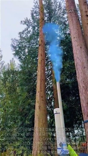 아보리스트 고소 수목 관리: 수제 공압식 빈백 캐논을 활용한 투척선 설치 작업 과정 #worker #process #arborist #treeservice #rigging