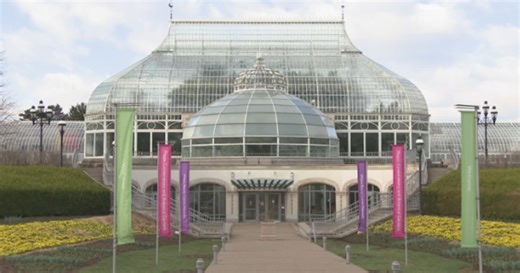 Boaz takes us on a tour of the Spring Flower Show at Phipps Conservatory and Botanical Gardens