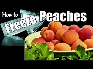 How to Freeze Peaches so they Don't Stick Together / Best way to Freeze Stone Fruit